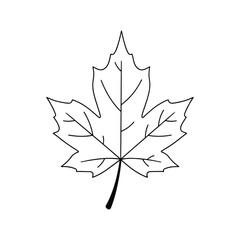 Obraz premium Simple outline of a maple leaf against a plain white background