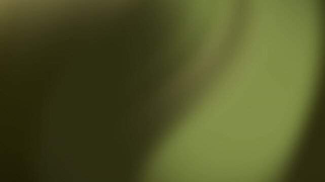 Abstract Soft Green and Brown Blurred Gradient Background
