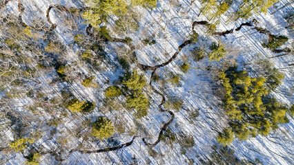 Obraz premium Aerial View of Snow Covered Forest with Winding Stream in Winter