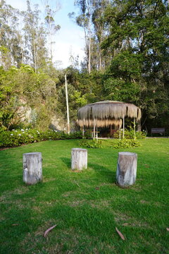 troncos de madera en jard&iacute;n