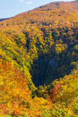 Fototapeta premium 日本の風景・秋 山形県米沢市 紅葉の天元台高原 火焔の滝