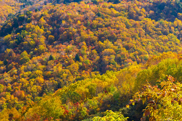 日本の風景・秋　山形県米沢市　紅葉の天元台高原