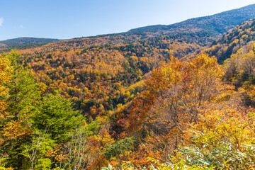 日本の風景・秋 山形県米沢市 紅葉の天元台高原