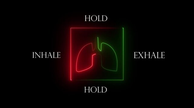Lungs icon with breathing cycle timeline respiratory. neon anatomy lungs, breathing cycle. neon breathing exercise showing the four stages: inhale, hold, exhale, and hold, 4k