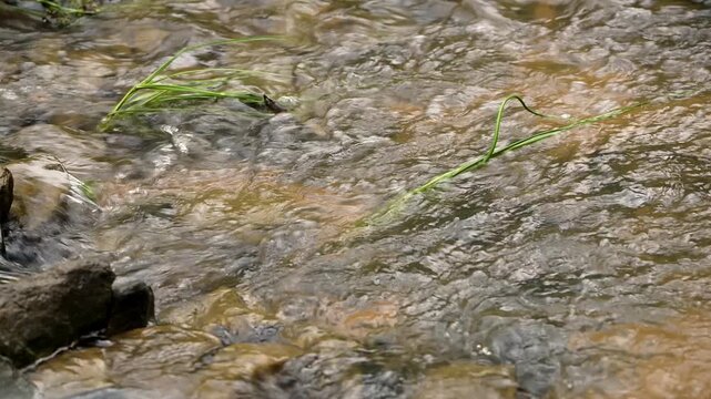 Opossum Creek in Woogaroo Forest is&nbsp;a natural waterway that surrounds parklands located in Brookwater, Queensland.