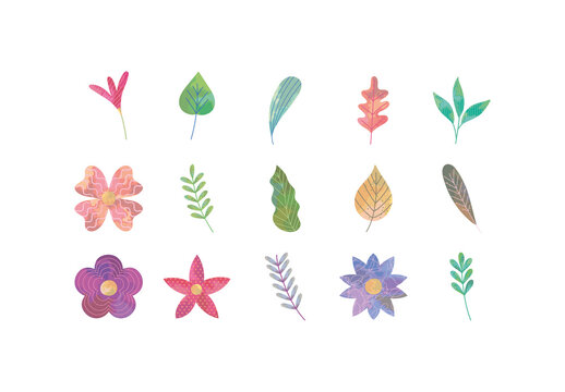 Botanical Leaves Illustration Set