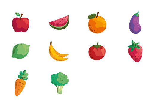 Fresh Food Illustration Set