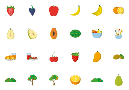 Fruit Illustration Set