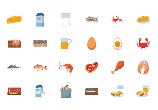 Protein Food Illustration Set