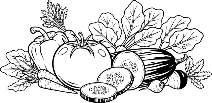 Fresh garden vegetables illustration tomato cucumber
