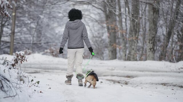 Curly hair woman and french bulldog dog wearing jacket running and shaking of wet snow in slow motion