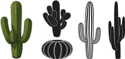 Cactus Plant Illustration Set with Green Desert Cacti and Black Silhouette Variations for Botanical Design Logo Sticker and Nature Vector Collection