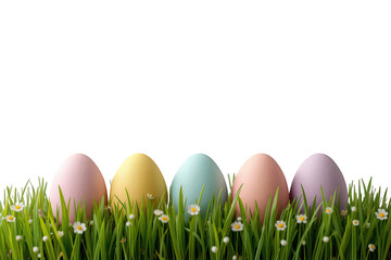 Fototapeta premium Pastel easter eggs in fresh spring grass with small white flowers, creating a festive holiday border element on transparent background