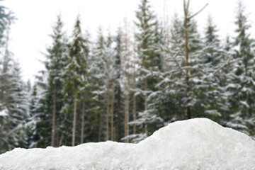 Naklejka premium Trees and snowdrift in winter forest, selective focus
