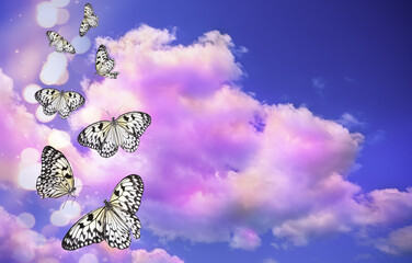 Naklejka premium Butterflies flying against pink clouds in blue sky