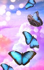 Naklejka premium Butterflies flying against colorful clouds in bright sky