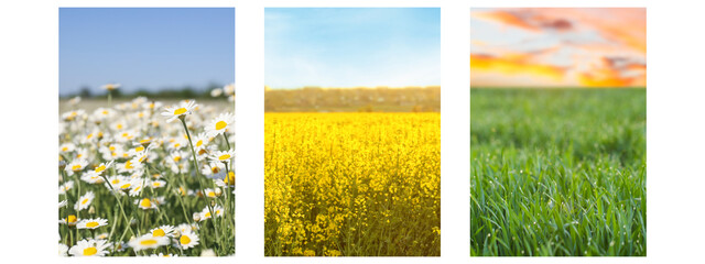 Fototapeta premium Set of fields under beautiful sky. Nature landscape