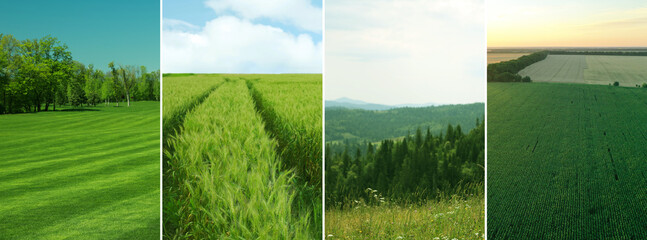 Fototapeta premium Set of fields under beautiful sky. Nature landscape