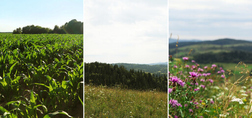 Fototapeta premium Set of fields under beautiful sky. Nature landscape