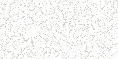 Obraz premium Gray abstract topographic map contours on white background for design