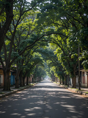 Fototapeta premium Lush, tree-lined streets in laid-back barrio Laureles, Medellin, Colombia.
