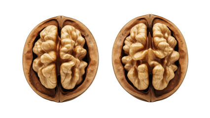 Fototapeta premium Two whole walnuts with their shells intact on a white background