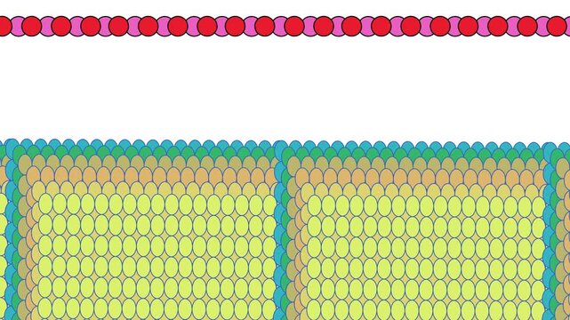 Simulation of the movement of atomic structures or biological cells under a microscope in the form of a dense surface and a single strip.