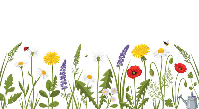 A vibrant horizontal border of diverse wild flowers, grasses, and insects, including a watering can, is depicted on a white background.