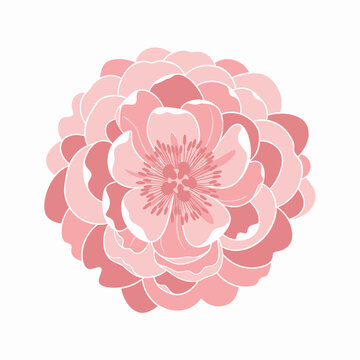 Pink Flower Illustration with Petals and Center.