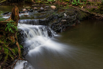 Obraz premium low cascade waterfall on a creek with a tall natural stump motion