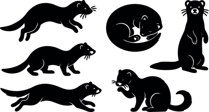 Minimalist silhouette vector set of playful ferret and stoat poses running sleeping standing curled side view close ups isolated icons