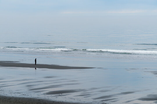 USA, WA, Queets.  USA, WA, Olympic National park.  Person looking out over the placid waters off the west coast of the Olympic Peninsula.  Looking west to the Pacific Ocean from  South Beach.