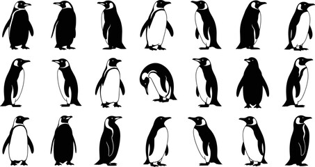 Penguin silhouettes collection, black and white vector illustration set showing different standing poses, wildlife animals, polar nature, minimalist design style © Goutom