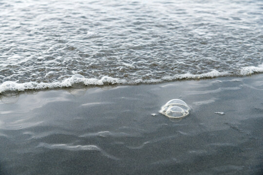 USA, WA, Queets.  Bubbles and foam formed by wave action on the Olympic Peninsula's west coast.  At South Beach on the Pacific Ocean.  