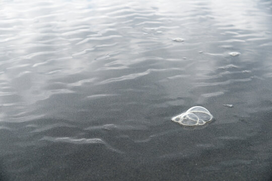 USA, WA, Queets.  Bubbles and foam formed by wave action on the Olympic Peninsula's west coast.  At South Beach on the Pacific Ocean.  