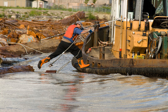 Canada, BC, Vancouver.  Workman leaping from log boom to tugboat on the lower Fraser River.