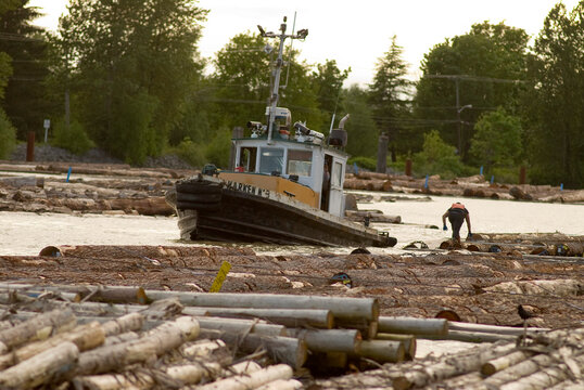 Canada, BC, Activities on the lower Fraser River between New Westminster and the Georgia Staight.