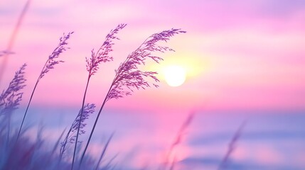 Little grass stem close up with sunset over calm sea pastel nature background