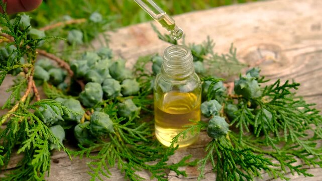 Thuja essential oil and supplements. Selective focus.