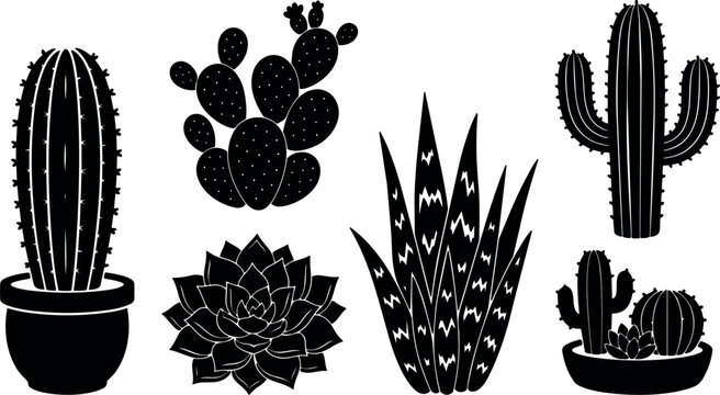 Flat vector silhouette close up potted cacti and succulents arranged in row minimal black and white botanical icons decorative collection