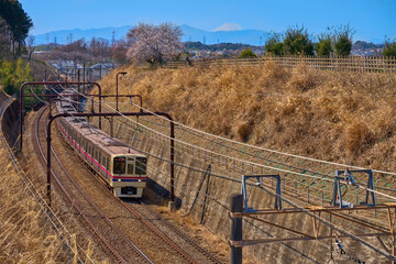 春の東京都稲城市の富士山と梅と電車の眺望