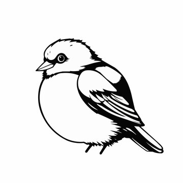 Stylized bird illustration, cute, standing on a white background