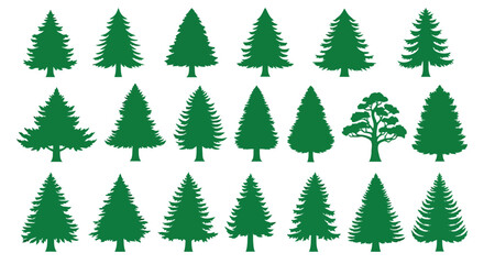 Obraz premium Vector Illustration of various green pine tree silhouettes on white background
