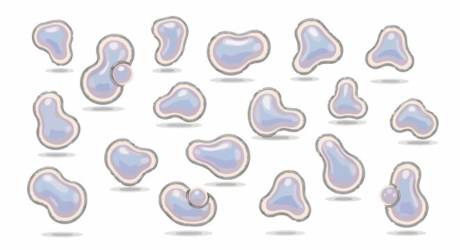 Ensemble de formes abstraites organiques et fluides avec des reflets lumineux sur fond blanc.