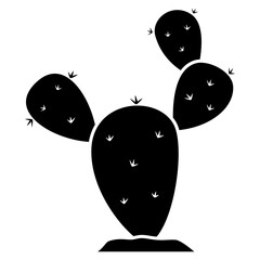 prickly pear cactus 