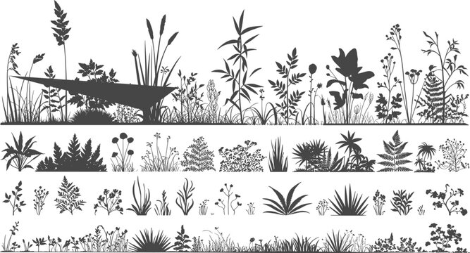 PrintBotanical plant silhouettes, grass flower shrub leaves, nature vector illustration, flora design artwork, garden decorative elements, outdoor background, natural template