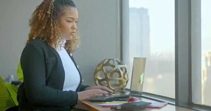 Woman Working on Laptop in Office