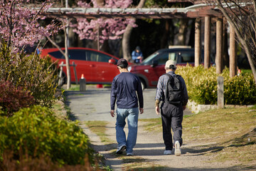 春の名城公園で散歩する中年男性の姿と駐車する車の様子