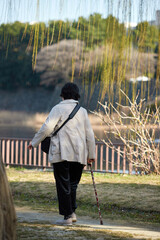 春の公園で散歩するシニア女性の姿