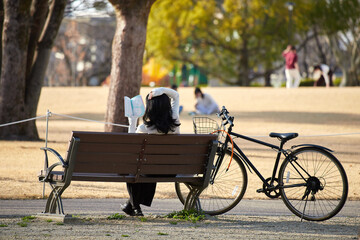 春の公園のベンチで座って読書する若い女性の姿